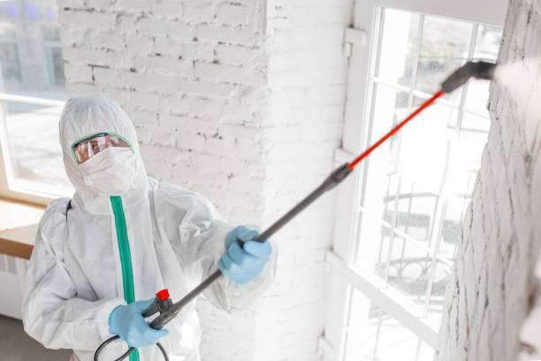 Best Mold Odor Removal Services  in Harlem Heights, FL