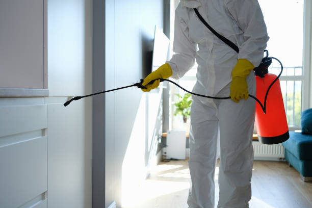 Best Water Damage & Mold Remediation  in Harlem Heights, FL